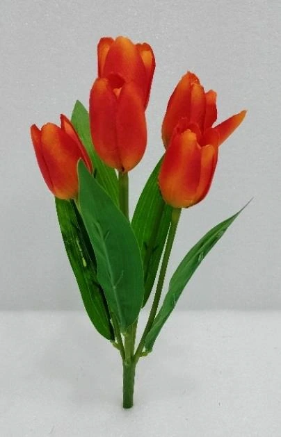 Tulip Stick Bud x5